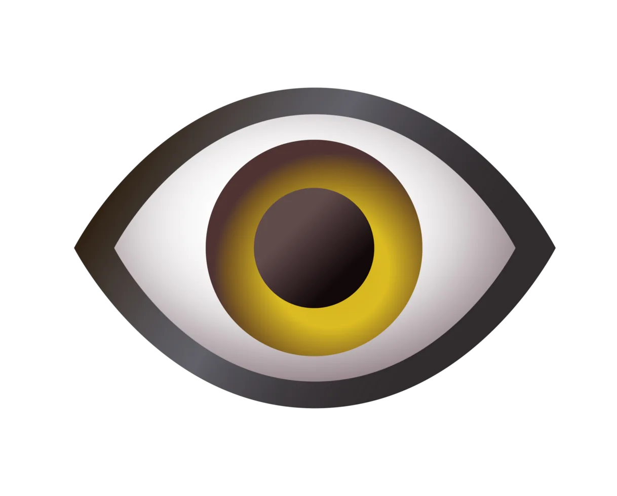 Our Vision
